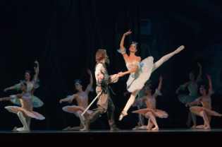 Pirouettes and Profits: Pointe Shoes Updated